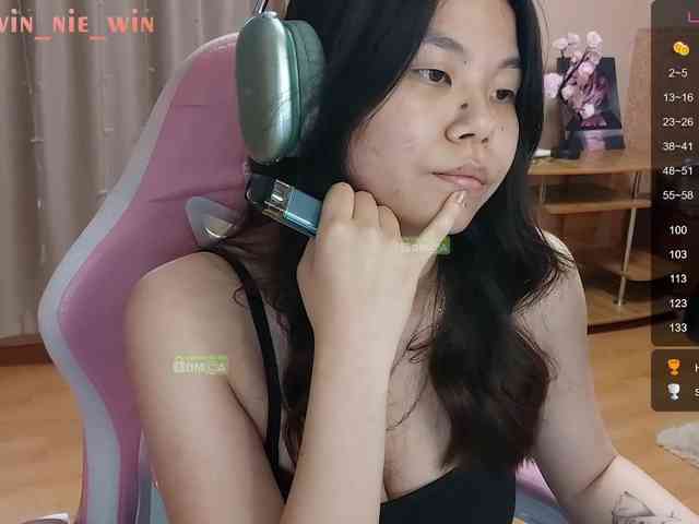 WIN_NIE webcam