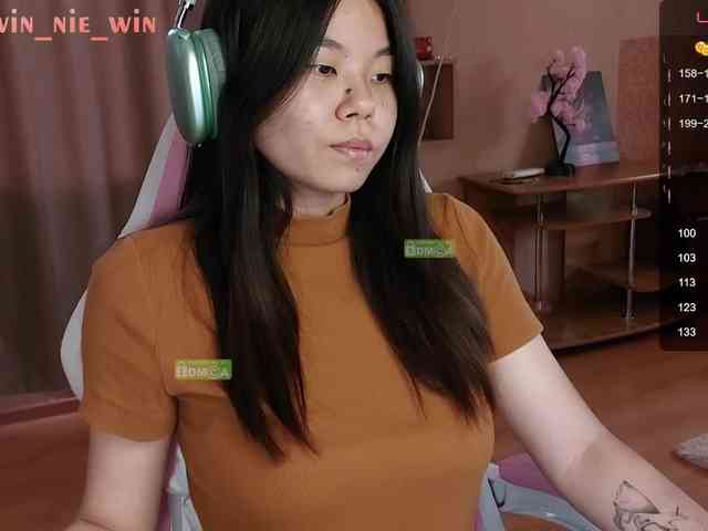 WIN_NIE webcam
