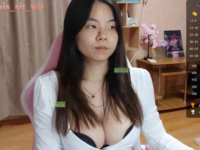 WIN_NIE webcam