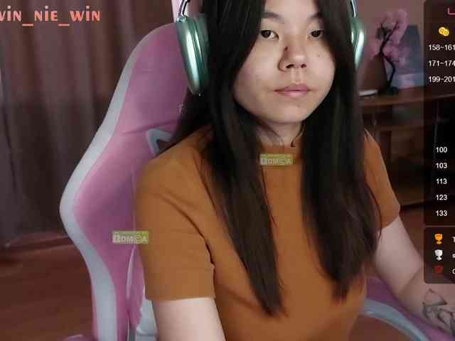 WIN_NIE webcam