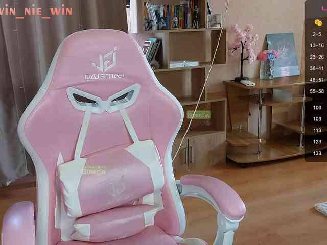 WIN_NIE webcam