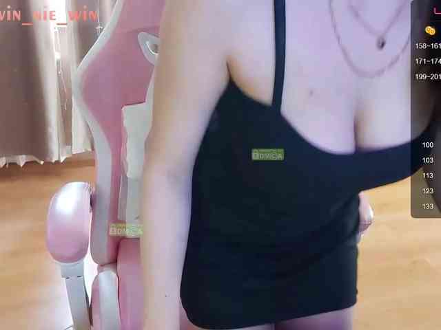 WIN_NIE webcam