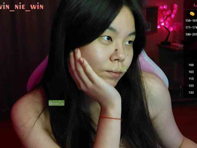 WIN_NIE webcam