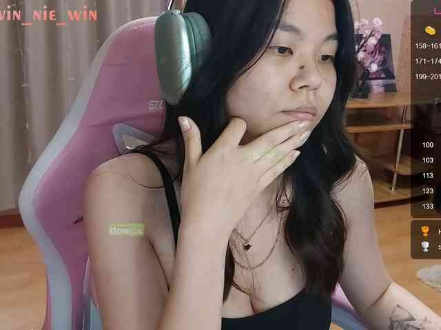 WIN_NIE webcam