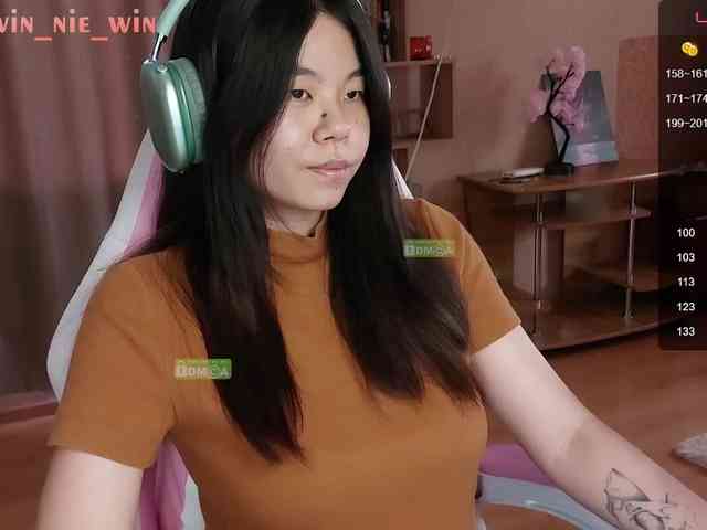 WIN_NIE webcam