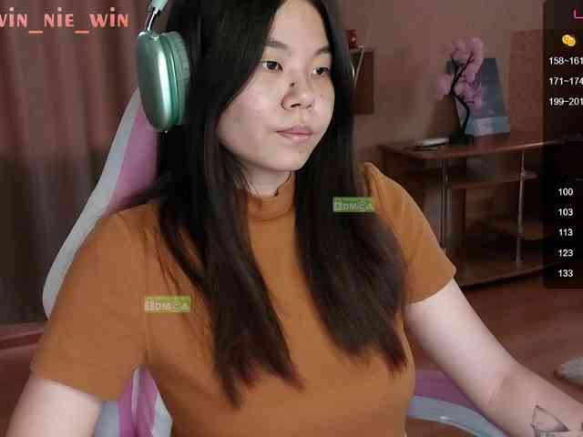 WIN_NIE webcam