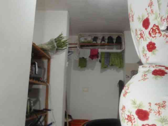 LiraRusso1 LiraRusso1