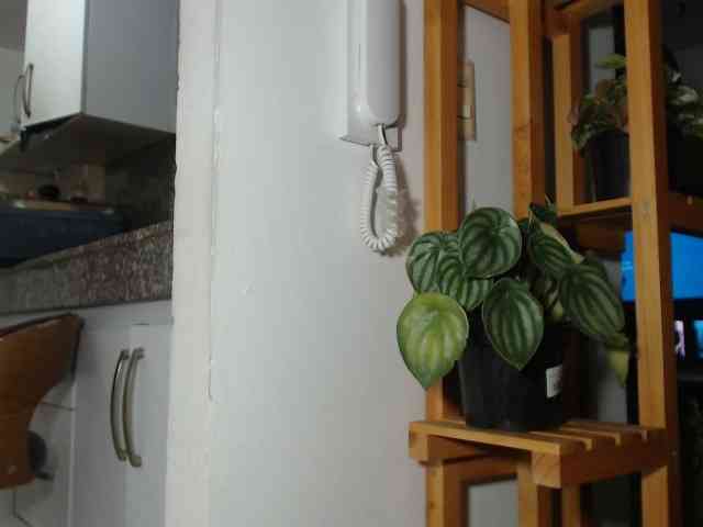 LiraRusso1 LiraRusso1