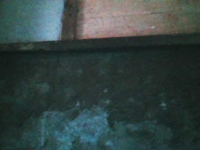 Preview of yummypussy432