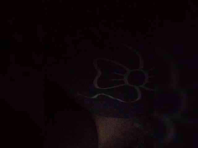 SailorQuinn webcam