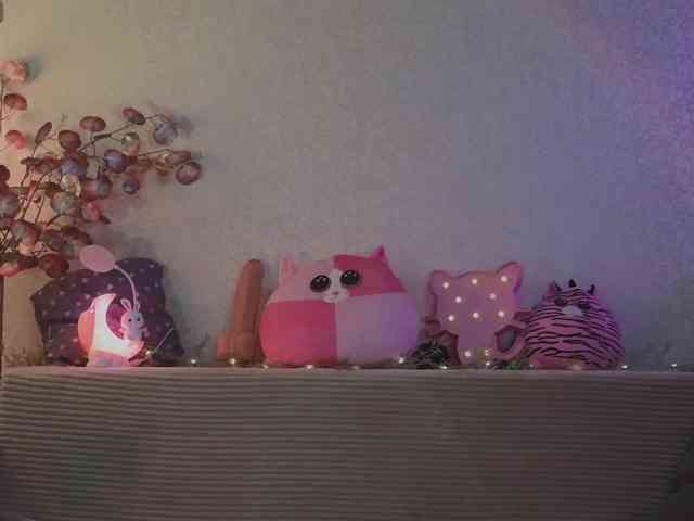 LALI_XS webcam