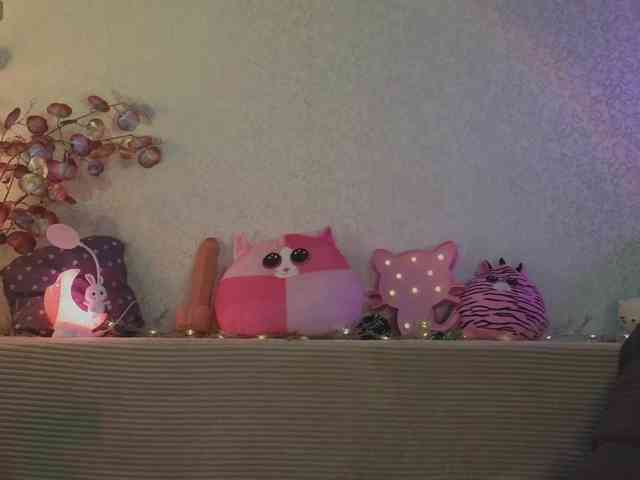 LALI_XS webcam