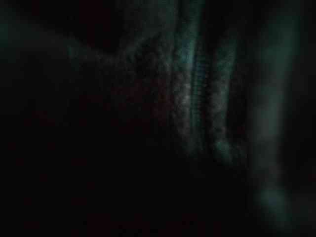 Sergem202018-1 Sergem202018-1