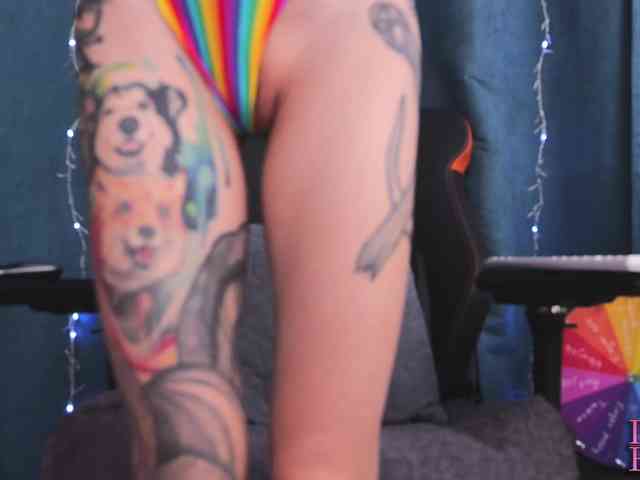 DianaRotor DianaRotor