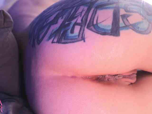 DianaRotor DianaRotor