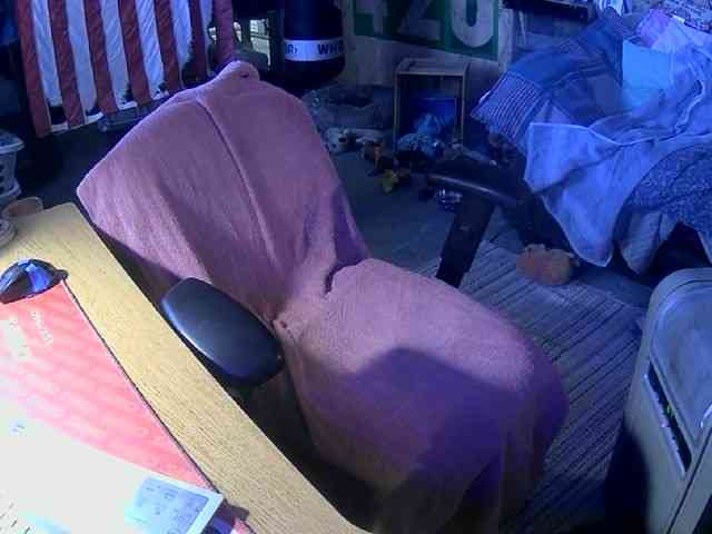 Barewood Live Webcam on BongaCams