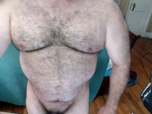 bullmusclejoe bullmusclejoe