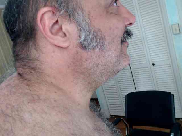 bullmusclejoe bullmusclejoe