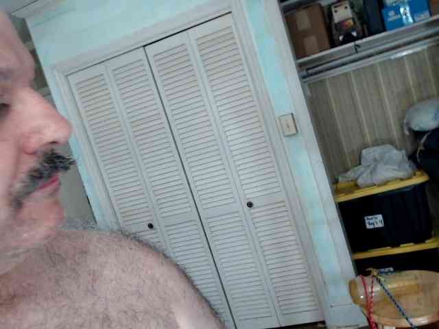 bullmusclejoe bullmusclejoe