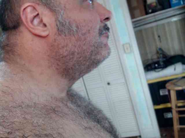 bullmusclejoe bullmusclejoe