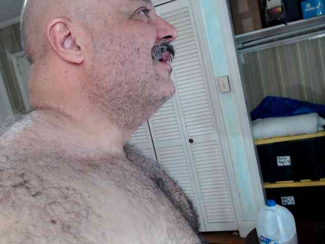 bullmusclejoe bullmusclejoe