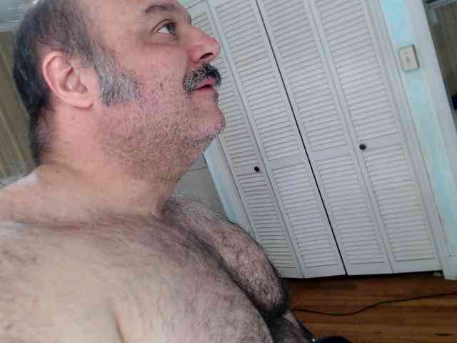 bullmusclejoe bullmusclejoe