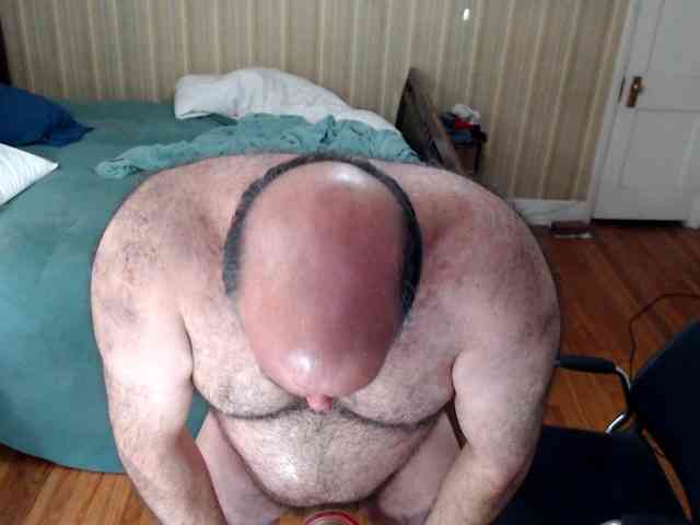 bullmusclejoe bullmusclejoe