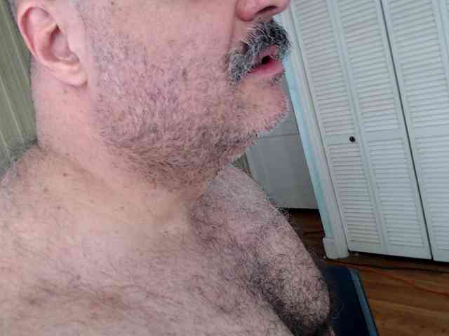 bullmusclejoe bullmusclejoe