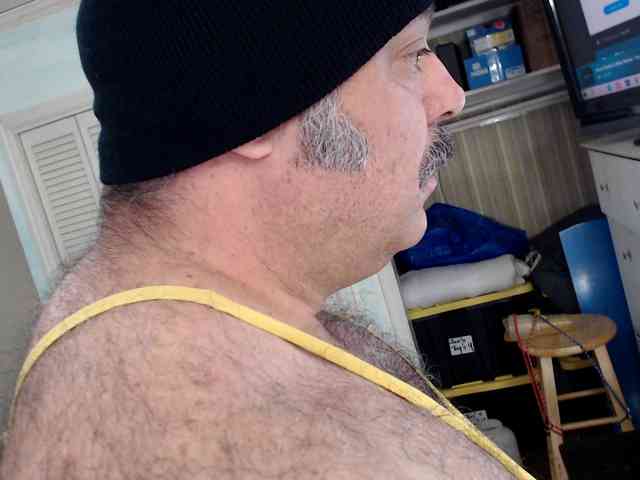 bullmusclejoe bullmusclejoe