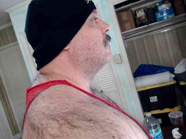 bullmusclejoe bullmusclejoe