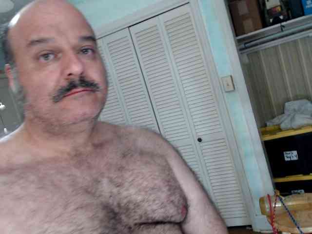 bullmusclejoe bullmusclejoe