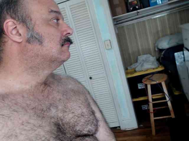 bullmusclejoe bullmusclejoe