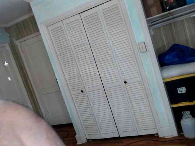 bullmusclejoe bullmusclejoe