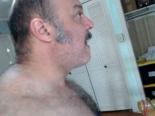 bullmusclejoe bullmusclejoe