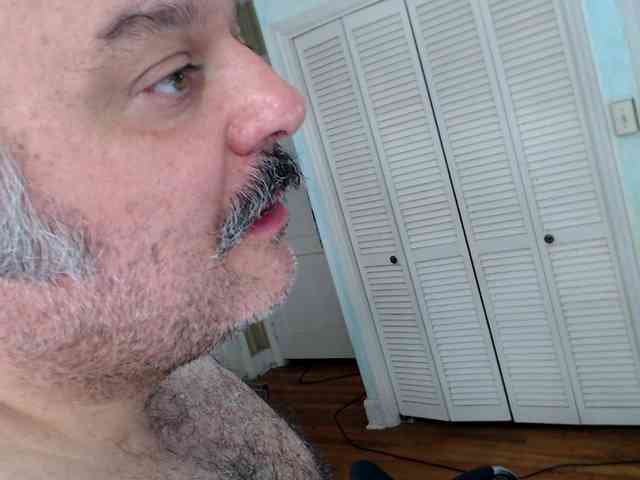 bullmusclejoe bullmusclejoe