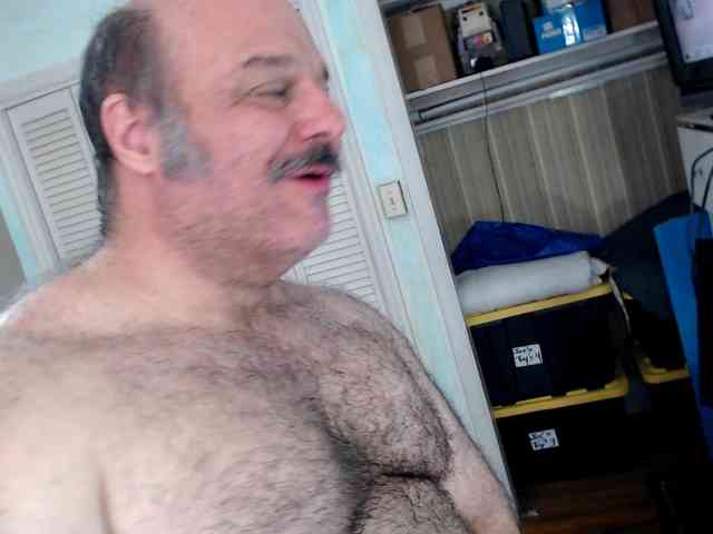 bullmusclejoe bullmusclejoe