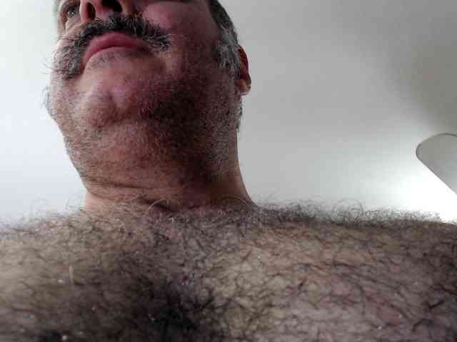 bullmusclejoe bullmusclejoe