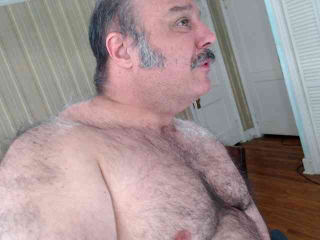 bullmusclejoe bullmusclejoe