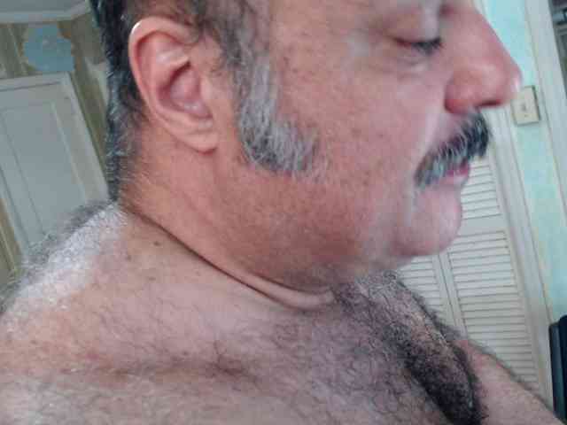 bullmusclejoe bullmusclejoe