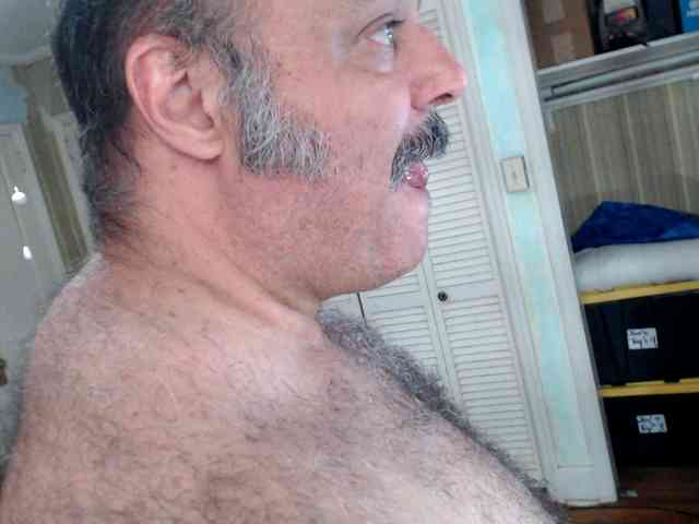 bullmusclejoe bullmusclejoe