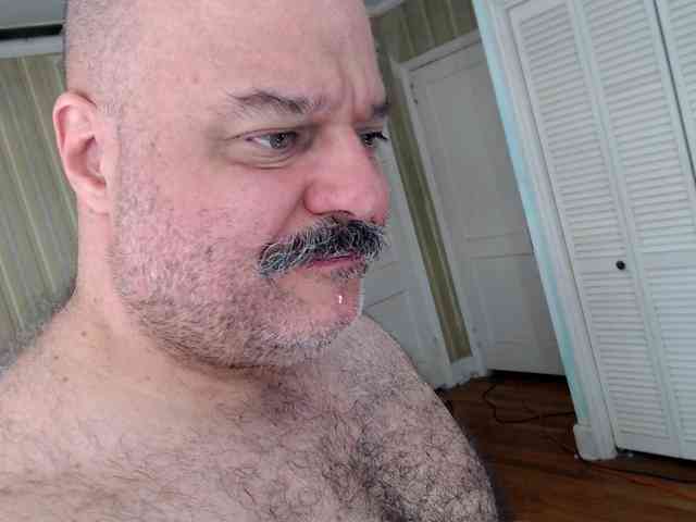 bullmusclejoe bullmusclejoe