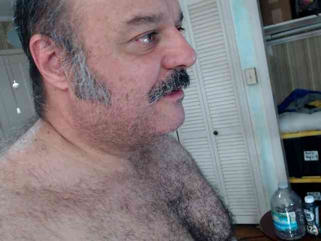 bullmusclejoe bullmusclejoe