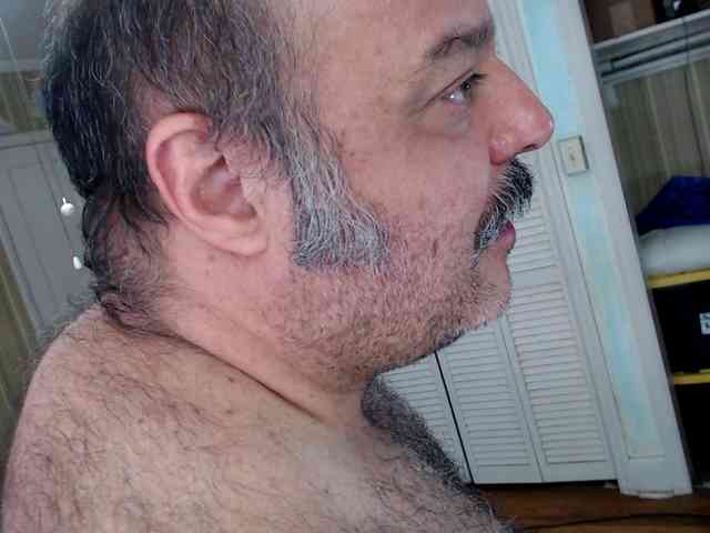 bullmusclejoe bullmusclejoe