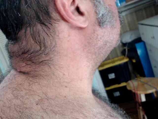 bullmusclejoe bullmusclejoe