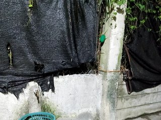 candicelovee Porn Show