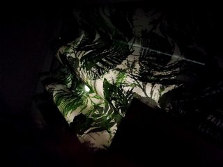 candicelovee Porn Show