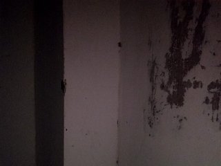 candicelovee Porn Show