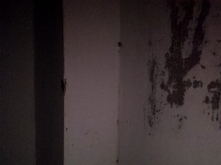 candicelovee Porn Show