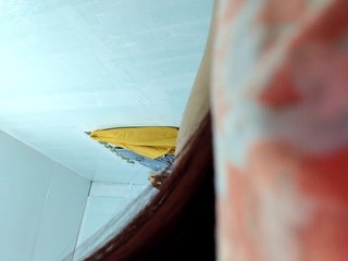 candicelovee Porn Show