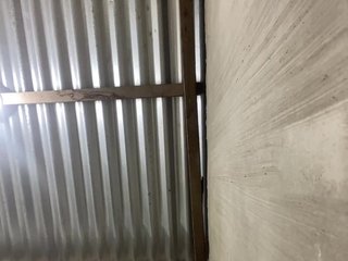 candicelovee Porn Show